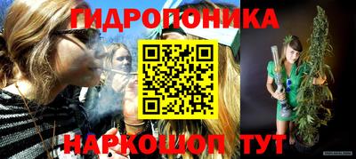 молекула духа Краснознаменск