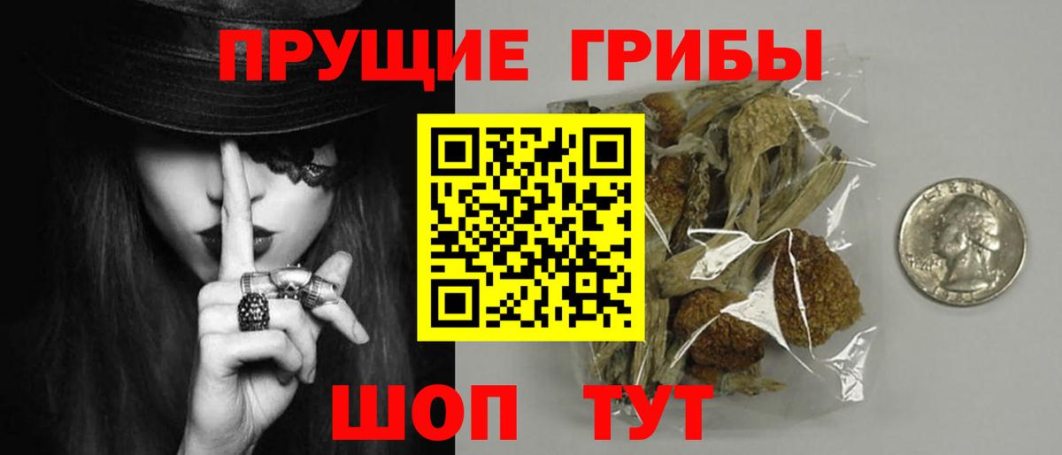 Галлюциногенные грибы GOLDEN TEACHER Заводоуковск